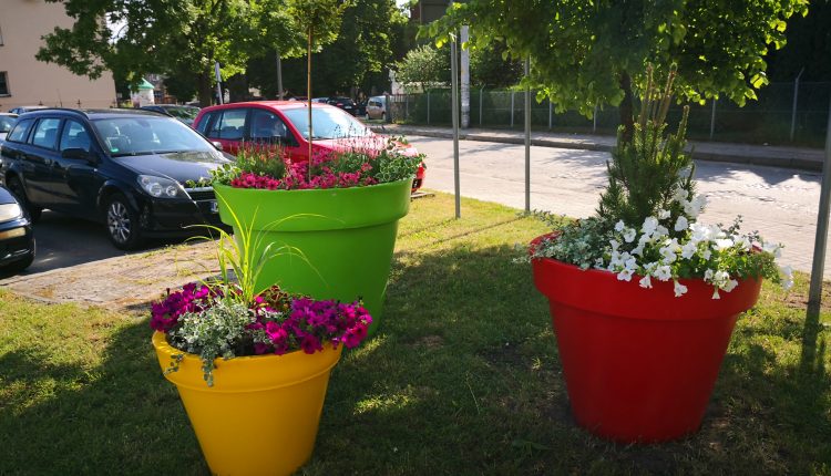 Nawet nocą Maków pięknieje